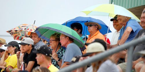PHIL HOSSACK / WINNIPEG FREE PRESS  -  Faithfull ball fans stayed dry and cool as Manitoba and PEI took to the field in Bloomberg Park as Manitoba's first event at the Canada Games got underway Saturday afternoon.  -  July 29, 2017