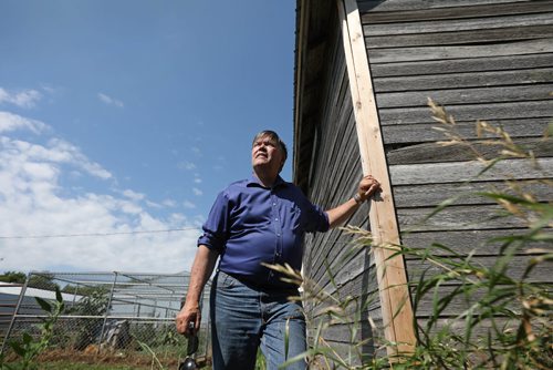 RUTH BONNEVILLE / WINNIPEG FREE PRESS

49.8 feature piece on exploring the Manitoba Museum's role in collecting and caring for a vast number of artifacts from around Manitoba, and how much of that comes from things in our backyards. 

Photo of Minister Ian Wishart on his farm near Portage la Prairie MB, next to a century old building on his farm very similar to the home that had "No Votes for Women" painted on it during women's suffrage in early 1900's.  The home stood at another location at that time and later was moved to his property as a out building many years later. 

A number of years ago Minister Ian Wishart was renovating an old family barn (once a families home on another property) near  Portage la Prairie MB, when he discovered what the Manitoba Museum now calls its most special artifact in relation to women's suffrage -- a former chunk of siding on which a previous owner had painted NO VOTES FOR WOMEN, broadcasting his opposition to anyone driving by.  

See Melissa Martin story.  

  
July 28,, 2017