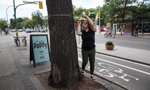 MIKE DEAL / WINNIPEG FREE PRESS
Winnipeg writer Ariel Gordon spent July 29 & 30 on the Tallest Poppy's patio, writing poems to the boulevard elm and inviting passersby to add their own thoughts/poems/secrets. The project was the 26th residency organized by Synonym Art Consultation at the Sherbrook Street restaurant and also included a writing workshop on Sunday night.
170729 - Saturday, July 29, 2017.