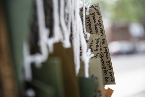 MIKE DEAL / WINNIPEG FREE PRESS
Winnipeg writer Ariel Gordon spent July 29 & 30 on the Tallest Poppy's patio, writing poems to the boulevard elm and inviting passersby to add their own thoughts/poems/secrets. The project was the 26th residency organized by Synonym Art Consultation at the Sherbrook Street restaurant and also included a writing workshop on Sunday night.
170729 - Saturday, July 29, 2017.