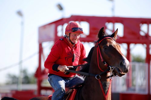 JUSTIN SAMANSKI-LANGILLE / WINNIPEG FREE PRESS
Training rider Clint Magera rides Escape Clause on a training lap Thursday. Escape Clause could make history as one of the few fillies to compete and win in the Manitoba Derby.
170803 - Thursday, August 03, 2017.