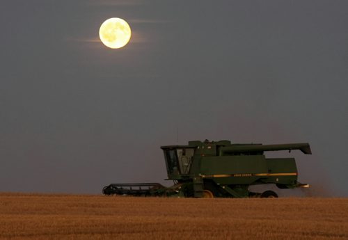 Brandon Sun A combine works in a field north of Forrest underneath a harvest moon on Sept. 14, 2004. (Bruce Bumstead/Brandon Sun)
