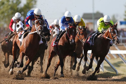 JOHN WOODS / WINNIPEG FREE PRESS
From left, Diamondaze (8), Escape Clause (6) and Witt'sdollarnight (4) lead around the first bend in the running of the Manitoba Derby at Assiniboia Downs Monday, August 7, 2017.