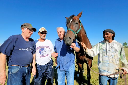 JUSTIN SAMANSKI-LANGILLE / WINNIPEG FREE PRESS
From left: Trainer Murray Duncan, owners Brian Smith and Daryl Carry and groom Christopher Gaskin pose with horse Kenny Do The Math outside the Assiniboia Downs stables Thursday.
170810 - Thursday, August 10, 2017.
