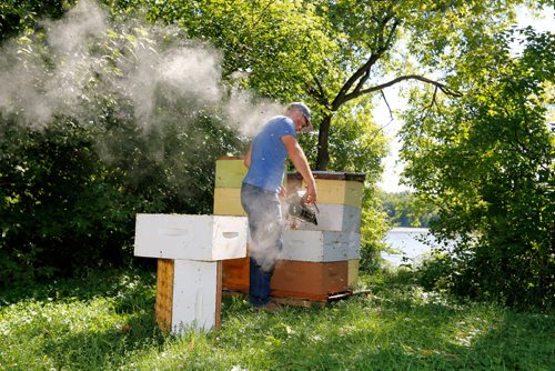 JUSTIN SAMANSKI-LANGILLE / WINNIPEG FREE PRESS
Chris Kirouac smokes the beehives before opening them up on the grounds of the Marymound School Thursday. The smoke is used to make the bees hungry enough to retreat into the hives to gorge themselves on honey instead of bothering the beekeepers. 
170810 - Thursday, August 10, 2017.