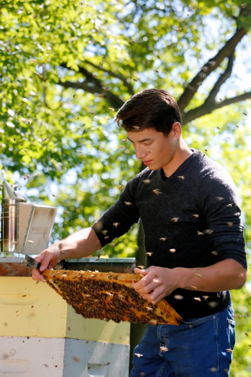 JUSTIN SAMANSKI-LANGILLE / WINNIPEG FREE PRESS
Lucas Smith inspects a honeycomb rack after removing it from the beehive. Beekeepers look for signs of hive health and activity as well as looking for racks completely full of honey and ready for harvest. 
170810 - Thursday, August 10, 2017.