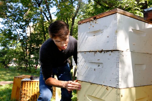 JUSTIN SAMANSKI-LANGILLE / WINNIPEG FREE PRESS
Lucas Smith inspects a beehive before opening it up to inspect the racks inside. Beekeepers look for signs of hive health and activity as well as looking for racks completely full of honey and ready for harvest. 
170810 - Thursday, August 10, 2017.