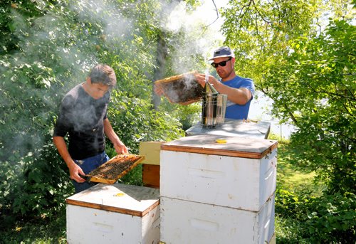 JUSTIN SAMANSKI-LANGILLE / WINNIPEG FREE PRESS
Lucas Smith (L) and Chris Kirouac inspect honeycomb racks after removing them from the beehives. Beekeepers look for signs of hive health and activity as well as looking for racks completely full of honey and ready for harvest. 
170810 - Thursday, August 10, 2017.