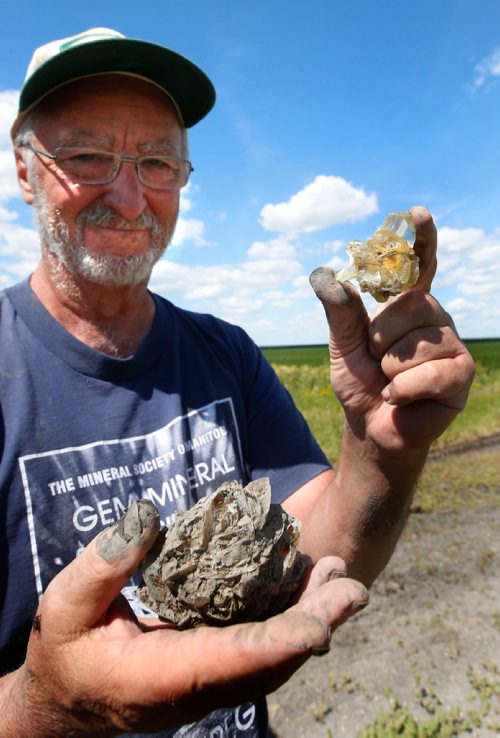 WAYNE GLOWACKI / WINNIPEG FREE PRESS

Ken Fumerton with Mineral Society of Manitoba holds up two of his  selenite crystals, at left is one he dug up on Thursday in the Foodway  and at right is his prized find he uncovered 8 years ago at the same site. The Mineral Society of Manitoba has been given special permission to dig in the Red River Floodway in east side of Winnipeg for Selenite crystals.   Kevin Rollason story   August 11 2017