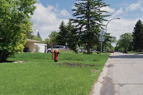 Canstar Community News Aug. 23, 2017 - Unkept lawns are one of the biggest complaints homeowners have of rooming houses in their neighbourhoods. Often properties do not have someone designated to care for the lawns, and landlords are either absentee or located overseas.  (DANIELLE DA SILVA/SOUWESTER/CANSTAR)