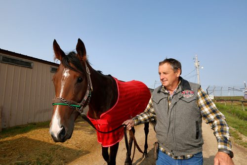 JUSTIN SAMANSKI-LANGILLE / WINNIPEG FREE PRESS
Trainer Don Schnell walks racehorse Escape Clause alongside the stables at Assiniboia Downs Thursday.
170824 - Thursday, August 24, 2017.