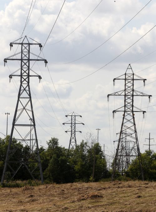 JOE BRYKSA / WINNIPEG FREE PRESSU of M who have found that the grassy habitat below power lines- here a example at River road and the Red River, usually ignored by the conservationists and the public, can be managed to attract butterflies and grassland birds.-Aug 25, 2017 -( See Ryan Thorpe story)