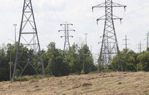 JOE BRYKSA / WINNIPEG FREE PRESSU of M who have found that the grassy habitat below power lines- here a example at River road and the Red River, usually ignored by the conservationists and the public, can be managed to attract butterflies and grassland birds.-Aug 25, 2017 -( See Ryan Thorpe story)