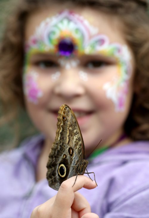 TREVOR HAGAN / WINNIPEG FREE PRESS
Rena Bedder, 7, holding an Owl Butterfly in the Shirley Richardson Butterfly Garden at the Assiniboine Park Zoo during the Butterfly Safari Weekend, Sunday, August 27, 2017.