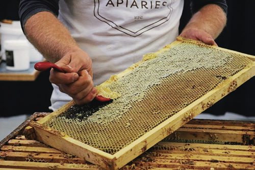 Canstar Community News Aug. 23, 2017 - First step of extracting honey is uncapping the frames manually with a knife that removes all bits of wax. (Ligia Braidotti/Canstar Community News/The Times)