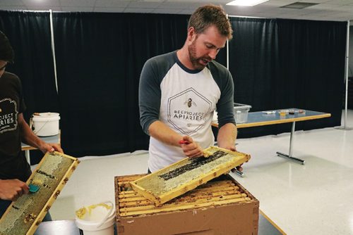 Canstar Community News Aug. 23, 2017 - Chris Kirouac, co-founder of Beeproject Apiaries, demosntrates how to extract honey from urban hives at Red River Colleges Notre Dame Campus. (Ligia Braidotti/Canstar Community News/The Times)