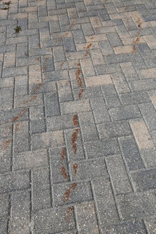 JUSTIN SAMANSKI-LANGILLE / WINNIPEG FREE PRESS
Brown marks are seen on Frances Gorber's driveway Monday. Gorber says the marks were caused by city slow clearing and the city refuses to pay for the repairs.
170828 - Monday, August 28, 2017.