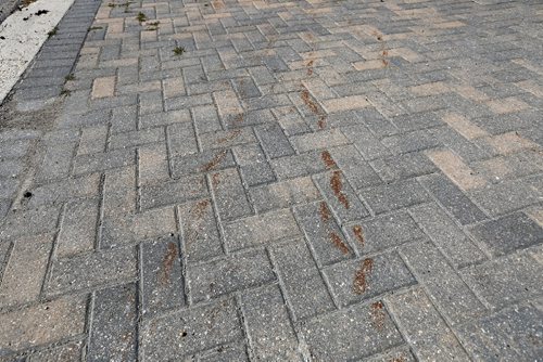 JUSTIN SAMANSKI-LANGILLE / WINNIPEG FREE PRESS
Brown marks are seen on Frances Gorber's driveway Monday. Gorber says the marks were caused by city slow clearing and the city refuses to pay for the repairs.
170828 - Monday, August 28, 2017.