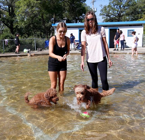 WAYNE GLOWACKI / WINNIPEG FREE PRESS

At right, Jill Bueddefeld with Piper and Rachelle Balak with Jake in the wading pool at Happyland Park Saturday morning. on this special day, dog owners were allowed to let their dogs cool off in the wading pools at Happyland and Bruce Park.  Alex Paul  story Sept. 2 2017