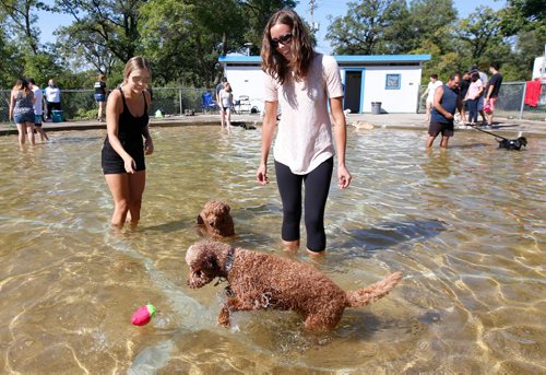 WAYNE GLOWACKI / WINNIPEG FREE PRESS

At right, Jill Bueddefeld with Piper in foreground and Rachelle Balak with Jake in the wading pool at Happyland Park Saturday morning. Dog owners were allowed to let their dogs cool off in the wading pools at Happyland and Bruce Park.  Alex Paul  story Sept. 2 2017