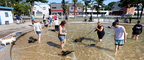 WAYNE GLOWACKI / WINNIPEG FREE PRESS

 Dog owners were allowed to let their dogs cool off in the wading pools here at Happyland Park and also Bruce Park Saturday. Alex Paul  story Sept. 2 2017