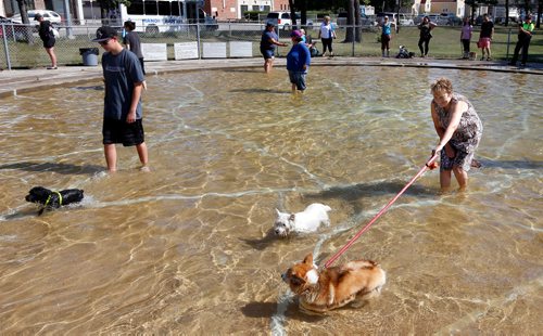 WAYNE GLOWACKI / WINNIPEG FREE PRESS

Denise Ward with her Corgi named Scarlet in the wading pool at Happyland Park Saturday morning. Dog owners were allowed to let their dogs cool off in the wading pools at Happyland and Bruce Park.  Alex Paul  Sept. 2 2017