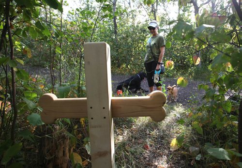 RUTH BONNEVILLE / WINNIPEG FREE PRESS 

A woman looks at the grave marker in the shape of a bone with Hailey's name on is mounted near where an attaack on a dog took place recently.  Signs posted up in various areas of Little Mountain Park warn dog owners of vicious attack on a golden retriever dog named Hailey that killed her.    Warning sign says,   "August 29th around 6;30pm a 2 year-old Golden Retriever named Hailey was viscously attacked and killed by a short hair german shepherd dog along the main trail in Little Mountain Parkl." 



Sept  06, 2017
