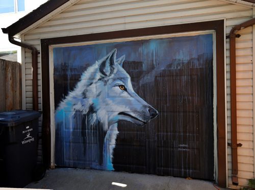 WAYNE GLOWACKI / WINNIPEG FREE PRESS

Winnipeg artist Kal Barteski has been painting arctic murals in the back lane between Ethelbert St. and Canora St. from Westminster south to Wolseley Ave. This is being presented as part of Nuit Blanche.  Paintings  are on garage doors and smaller ones on panels affixed to the fences - it's called #Back Alley Arctic. Wendy King story   Sept. 8 2017