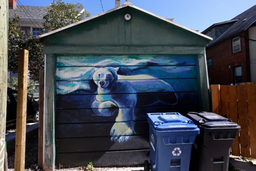 WAYNE GLOWACKI / WINNIPEG FREE PRESS
Winnipeg artist Kal Barteski has been painting arctic murals in the back lane between Ethelbert St. and Canora St. from Westminster south to Wolseley Ave. This is being presented as part of Nuit Blanche. Paintings are on garage doors and smaller ones on panels affixed to the fences - it's called #Back Alley Arctic. Wendy King story Sept. 8 2017