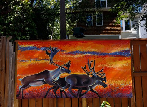 WAYNE GLOWACKI / WINNIPEG FREE PRESS
Winnipeg artist Kal Barteski has been painting arctic murals in the back lane between Ethelbert St. and Canora St. from Westminster south to Wolseley Ave. This is being presented as part of Nuit Blanche. Paintings are on garage doors and smaller ones on panels affixed to the fences - it's called #Back Alley Arctic. Wendy King story Sept. 8 2017