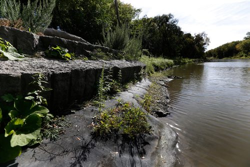 JOHN WOODS / WINNIPEG FREE PRESS
An old river bank stabilization structure along the Seine River adjacent to Rue Notre Dame photographed Monday, September 11, 2017. Riverbank erosion along the Seine is a threat to Winnipeg's underground aqueduct that brings water to Winnipeg.