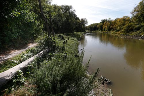 JOHN WOODS / WINNIPEG FREE PRESS
The Seine River and banks adjacent to Rue Notre Dame photographed Monday, September 11, 2017. Riverbank erosion along the Seine is a threat to Winnipeg's underground aqueduct that brings water to Winnipeg.