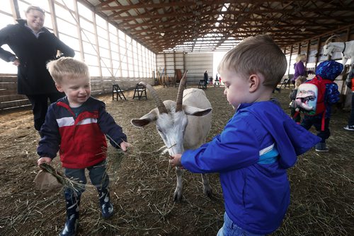 JOHN WOODS / WINNIPEG FREE PRESS
Oliver and Ethan Weir enjoy Manitoba Open Farm Day feeding goats as mum Ashley on at Aurora Farm Sunday, September 17, 2017.