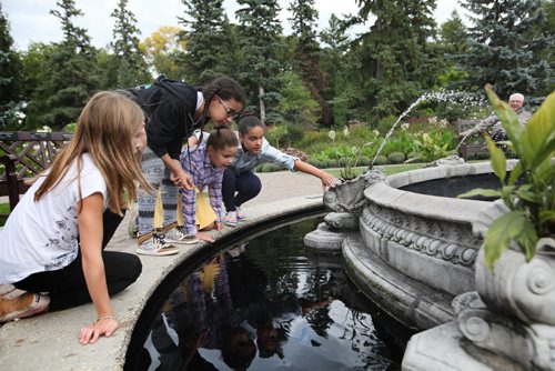RUTH BONNEVILLE / WINNIPEG FREE PRESS

A group of girls watch a frog swim in the centre pond in the English Garden at the Assiniboine Park Monday.  The girls had the day off school and were out with their parents enjoying the beautiful fall weather.  

Names from left - Zinnia O'leary (9yrs), Naomi Jenkins (11yrs) and her twin sisters Kyria (purple plaid) and Kezia (9yrs).
 
SEPT 18, 2017
