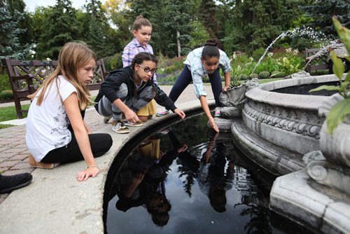 RUTH BONNEVILLE / WINNIPEG FREE PRESS

A group of girls watch a frog swim in the centre pond in the English Garden at the Assiniboine Park Monday.  The girls had the day off school and were out with their parents enjoying the beautiful fall weather.  

Names from left - Zinnia O'leary (9yrs), Naomi Jenkins (11yrs) and her twin sisters Kyria (purple plaid) and Kezia (9yrs).
 
SEPT 18, 2017
