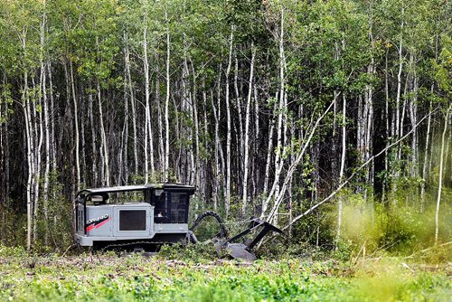PHIL HOSSACK / WINNIPEG FREE PRESS  -  A bulldozer pushes aspens over and then shreds the trunks as work progresses at the Parker Wetlands Tuesday afternoon. See Kevin Rollason's story.  - Sept 19 2017