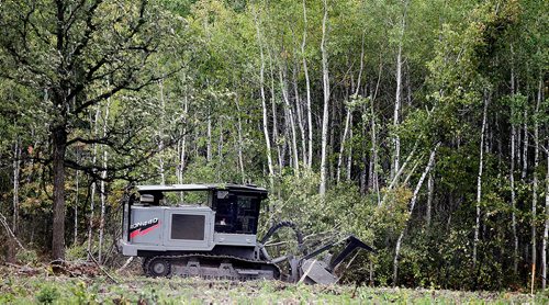 PHIL HOSSACK / WINNIPEG FREE PRESS  -  A bulldozer pushes aspens over and then shreds the trunks as work progresses at the Parker Wetlands Tuesday afternoon. See Kevin Rollason's story.  - Sept 19 2017
