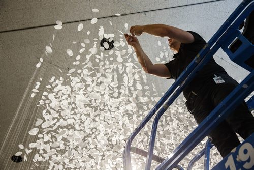 MIKE DEAL / WINNIPEG FREE PRESS
Vitaliy Yatsevych a conservator at the WAG makes some final adjustments to a piece by Hannah Claus, cloudscape, 2012 (double-matte reprography film, thread, PVA glue), one of the works of art by twenty-nine Indigenous artists for the Insurgence/Resurgence show at the Winnipeg Art Gallery.
170921 - Thursday, September 21, 2017.