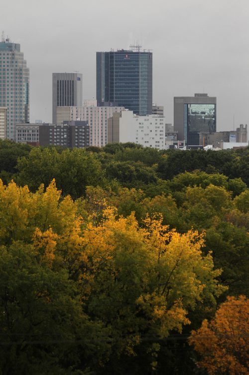 RUTH BONNEVILLE / WINNIPEG FREE PRESS

Winnipeg's downtown area skyline from Westview Park, also known as Garbage hill, blanketed with a patchwork of fall colours on the treeline in the foreground Monday morning.  
Standup photo 
SEPT 25, 2017