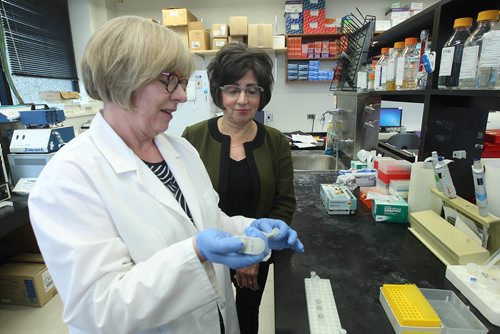 OE BRYKSA / WINNIPEG FREE PRESSDr Cheryl Rockman-Greenberg , right, and Dr Barbra Triggs-Raine in lab at Health Sciences Centre- -Sept 26, 2017 -( See Kelly Taylors story on rare diseases)