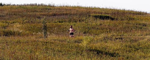 PHIL HOSSACK / WINNIPEG FREE PRESS  - STAND-UP weather......Long lonely road, takling advantage of the clear sky and warmer day a cross country runner trains on the trails at Harbor View / Kilcona Park's trails Wednesday afternoon.- Sept 23, 2017