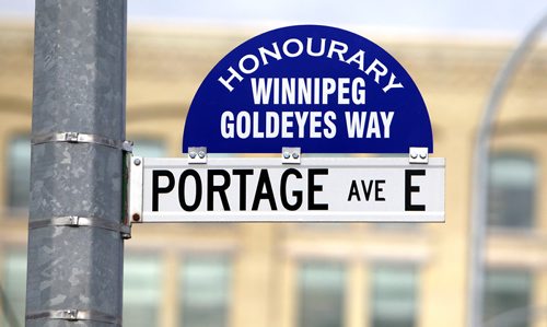 RUTH BONNEVILLE / WINNIPEG FREE PRESS

New street sign on Portage Ave. E was put up today by Mayor Brian Bowman in honour of the Winnipeg Goldeyes.  The street east of Main street from Portage Ave is called Winnipeg Goldeyes Way.  

SEPT 28, 2017