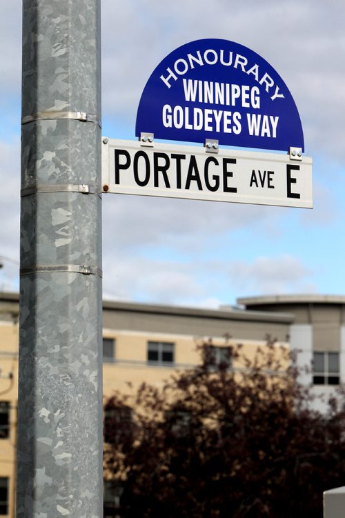 RUTH BONNEVILLE / WINNIPEG FREE PRESS

New street sign on Portage Ave. E was put up today by Mayor Brian Bowman in honour of the Winnipeg Goldeyes.  The street east of Main street from Portage Ave is called Winnipeg Goldeyes Way.  

SEPT 28, 2017