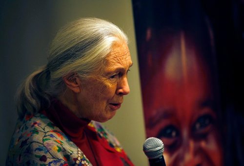PHIL HOSSACK / WINNIPEG FREE PRESS  -  Dr Jane Goodall speaks at a workshop for school kids Thursday afternoon. See story. - Sept 28, 2017