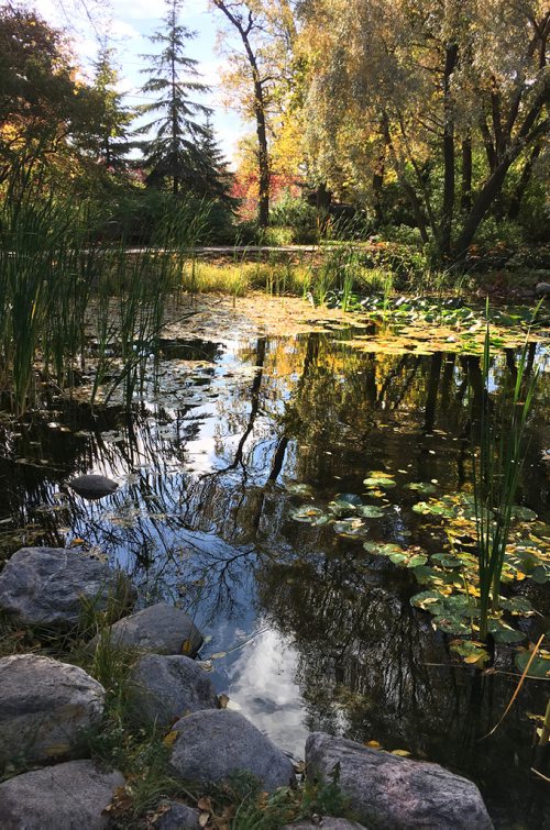 RUTH BONNEVILLE / WINNIPEG FREE PRESS

Pond in Leo Mol sculpture garden blooms with fall colours  after the sun came out  Monday afternoon. 
Standup 
Oct 02, 2017