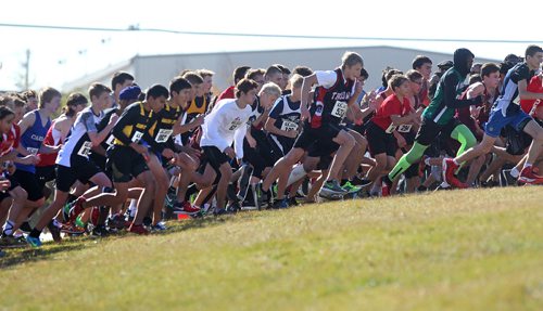 RUTH BONNEVILLE / WINNIPEG FREE PRESS

STDUP FOR SPORTS FRONT...

Provincial Cross Country Championships
Kilcona Park, October 11, 2017

Junior Varcity Boys Team and Open make their way up a hill at the start of their - 4000 m race Wednesday afternoon.  


Oct 11, 2017