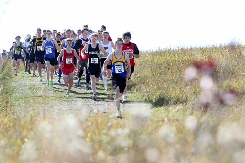 RUTH BONNEVILLE / WINNIPEG FREE PRESS

STDUP FOR SPORTS FRONT...

Provincial Cross Country Championships
Kilcona Park, October 11, 2017

Varsity Boys Team and Open make their way down a hill during a  - 5000 m Provincial Cross Country Championships race Wednesday afternoon at Kilcona Park.  


Oct 11, 2017