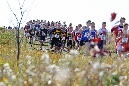 RUTH BONNEVILLE / WINNIPEG FREE PRESS

STDUP FOR SPORTS FRONT...

Provincial Cross Country Championships
Kilcona Park, October 11, 2017

Varsity Boys Team and Open make their way down a hill during a  - 5000 m Provincial Cross Country Championships race Wednesday afternoon at Kilcona Park.  


Oct 11, 2017