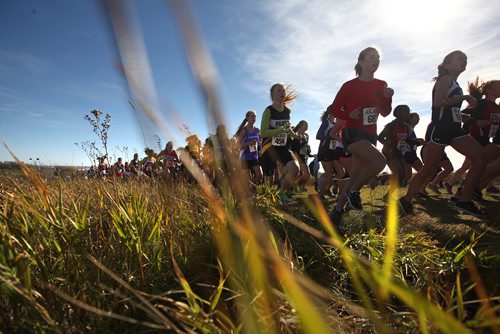 RUTH BONNEVILLE / WINNIPEG FREE PRESS

STDUP FOR SPORTS FRONT...

Varsity girls Team and Open make their way up a hill at the start of the 4000 m  Provincial Cross Country Championships race  at Kilcona Park Wednesday afternoon.  


Provincial Cross Country Championships
Kilcona Park, October 11, 2017


Oct 11, 2017