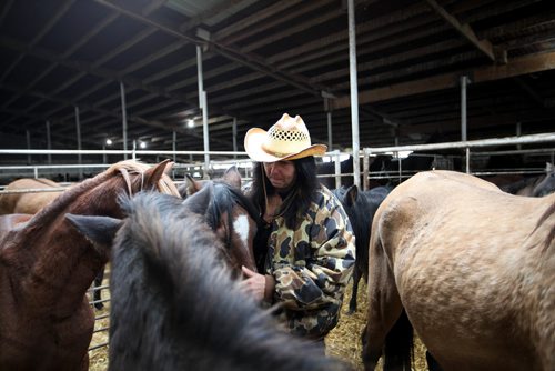 RUTH BONNEVILLE / WINNIPEG FREE PRESS

Rhonda Snow a farmer from Fort Frances Ontario holds back tears as she says goodbye to half of her rare endangered breed of small horses known as Ojibway ponies at the Grunthal Livestock Auction Mart on Saturday.  Snow was told to sell the horses and ponies to cover her financial responsiblities as part of the divorce. 

The Ojibway ponies, which once roamed the wilds from Fort Frances to Minnesota, are now rare because of technological changes in agriculture that left them less relevant.  There are said to be  fewer than 50 breeding Ojibway ponies alive in the world.
 
See Bill Redekop story.  
Oct 14,, 2017